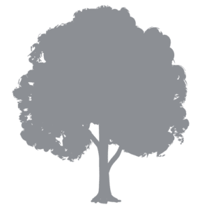 Park Orthodontics Glasgow logo
