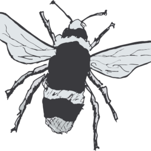 Pollination logo