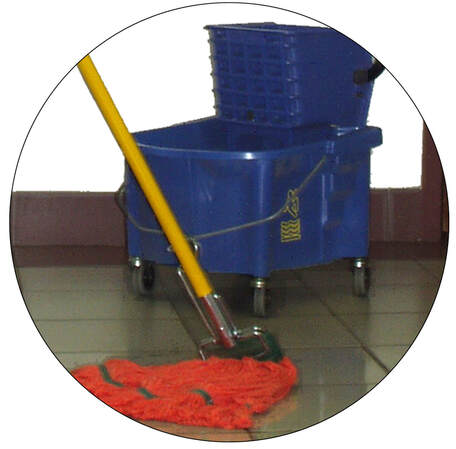 Pro Home Clean Domestic Cleaning East Kilbride logo