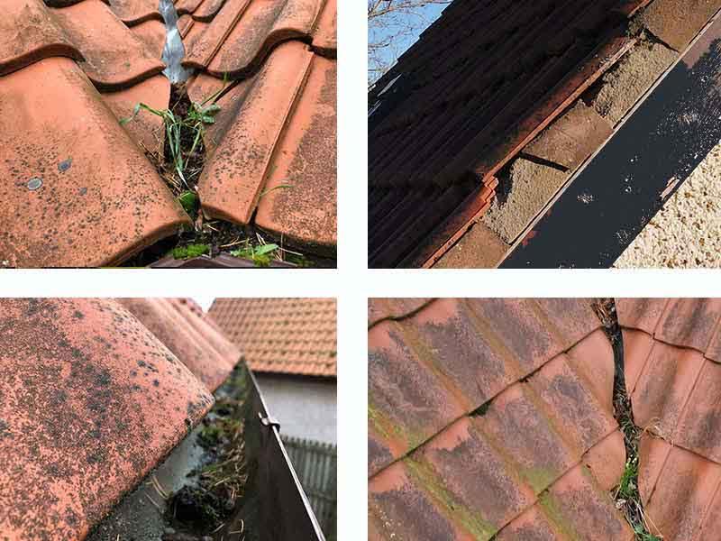 Roof Inspection Edinburgh logo