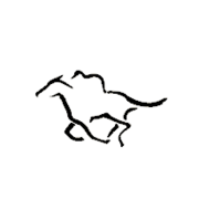 Scotia Town & Country Animal Feeds logo