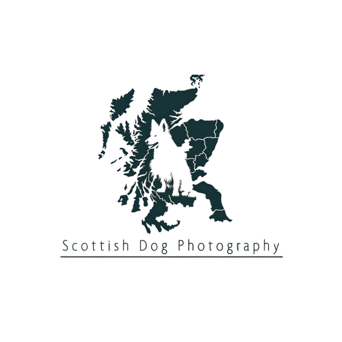 Scottish Dog Photography logo
