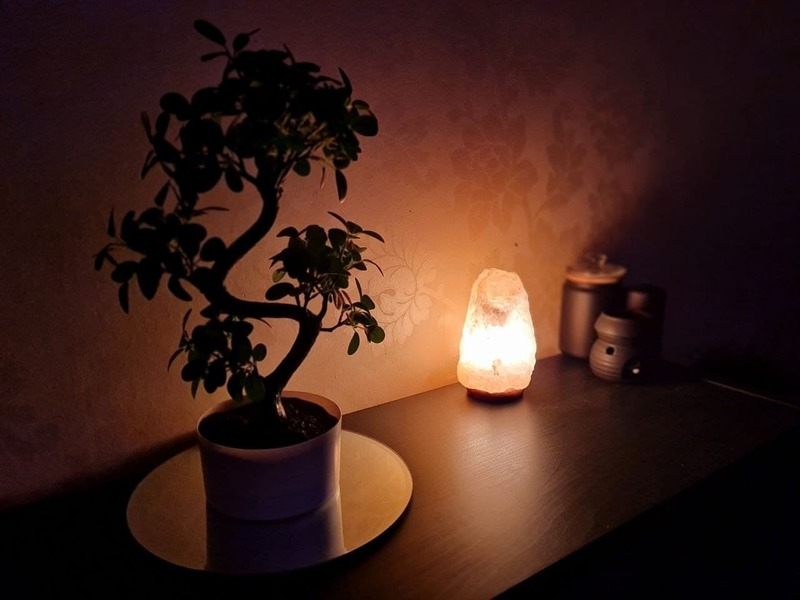 Serene Beauty EK logo