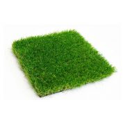 SGS Grass logo