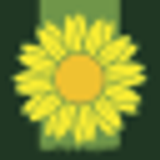 Sunnyside Nursery logo