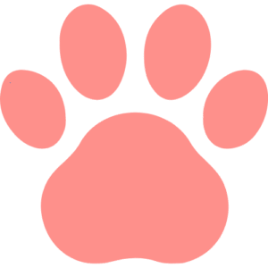 The Scruffy Dog Company logo