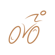 the velosseum - Professional Bike Fitting Services logo