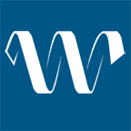 The Wise Group logo
