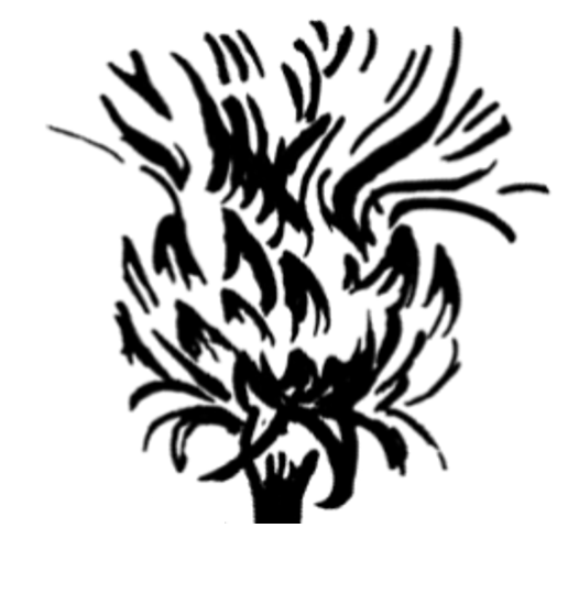 Thistle Island Candle Company logo