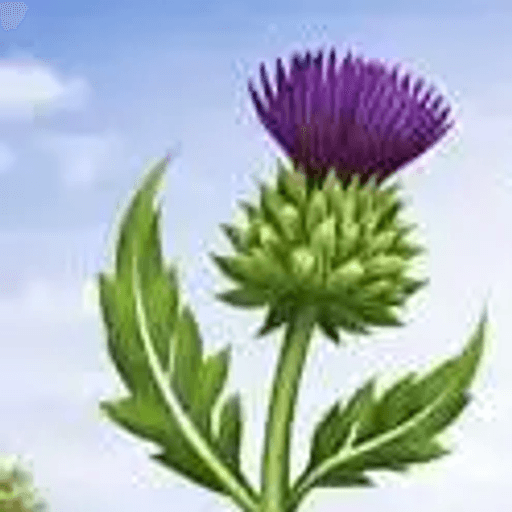 Thistle Roofing logo