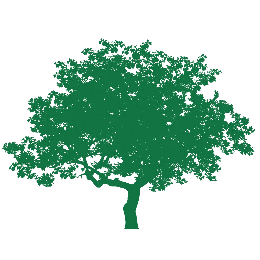 Thomson Trees Ltd logo