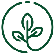 Three Leaf Trees logo