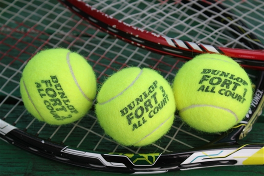 Titwood Lawn Tennis Club logo