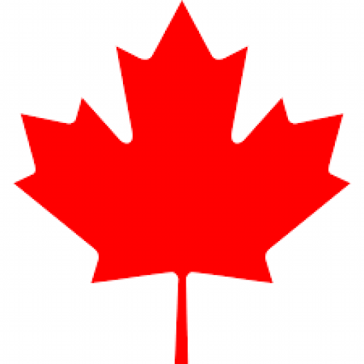 Toronto Primary logo