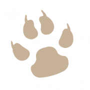 Touch the Wild logo