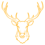 Uncover Scotland Tours logo