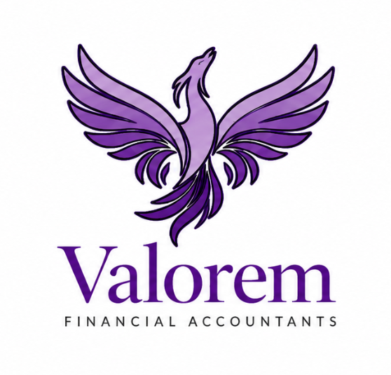 Valorem Financial Accountants Limited logo