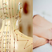 Wellness Therapies Acupuncture and Reflexology Clinic logo
