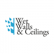 Wet Walls & Ceilings Hillington (Glasgow) logo