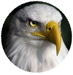 World of Wings logo